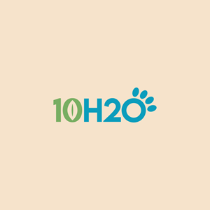 10H2O | Logo Design by Dzains