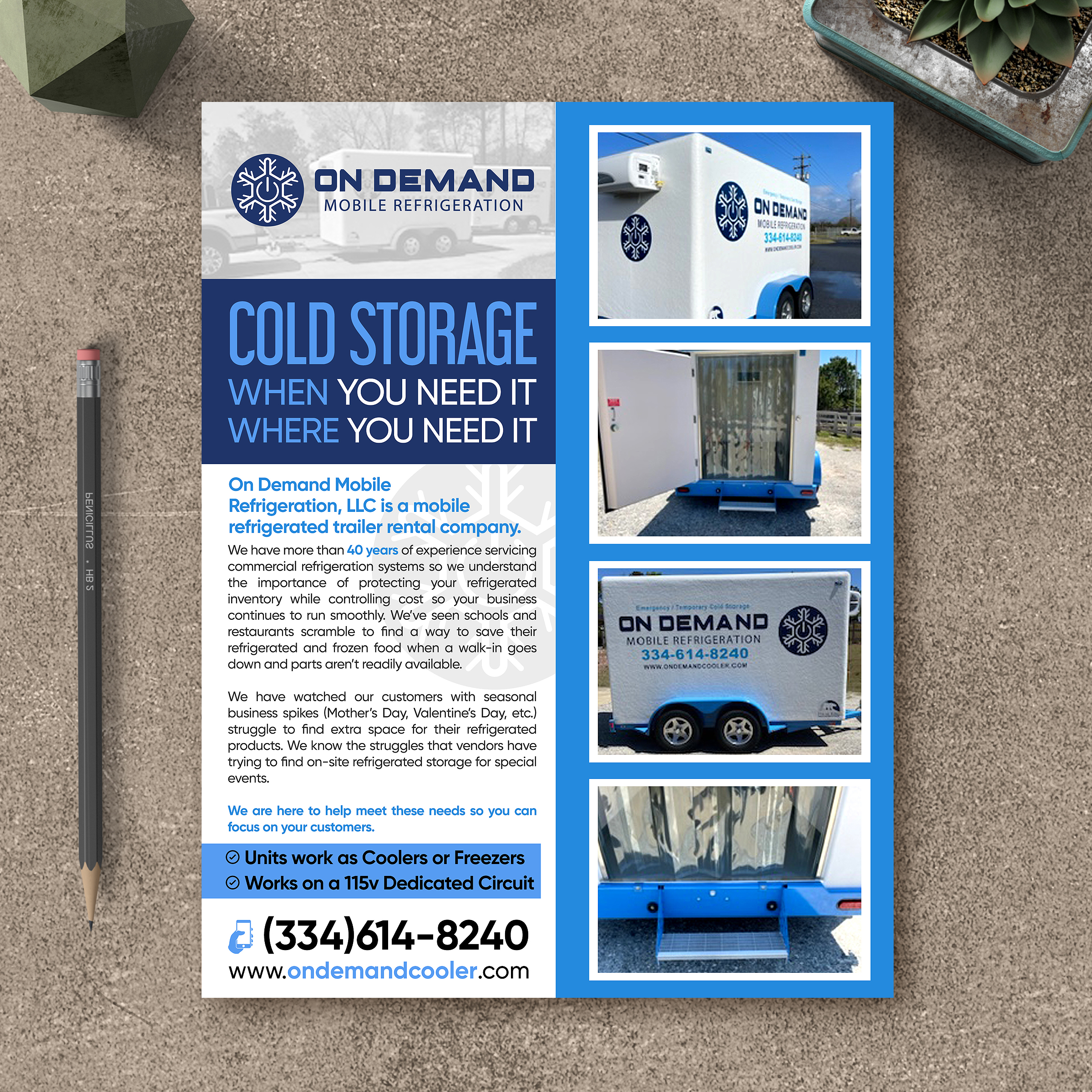 Flyer Design by Designers Hub for this project | Design #28627826