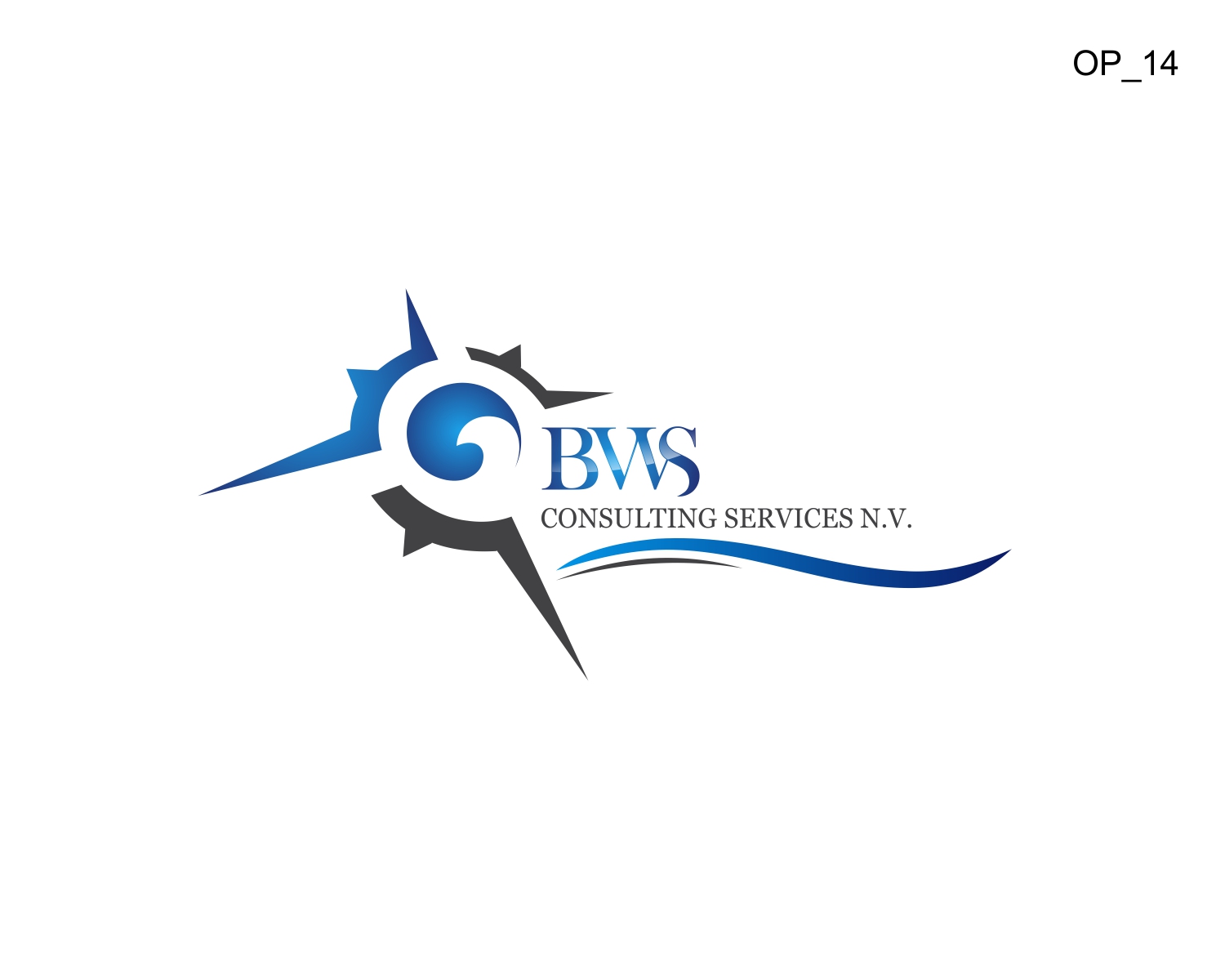 Logo Design by CIG Designer for this project | Design #28651414