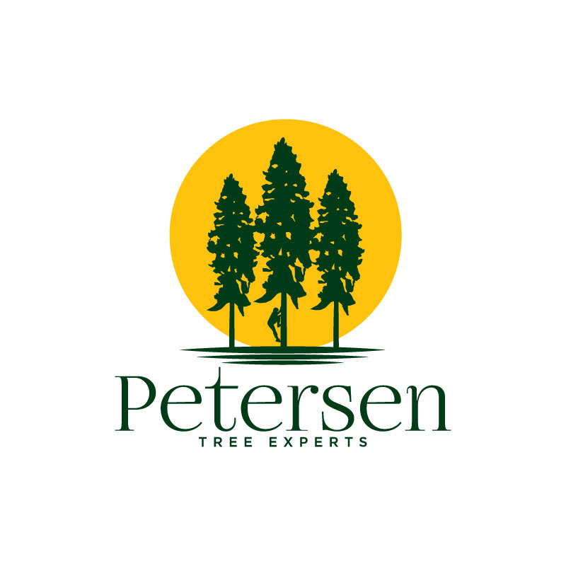 Logo Design by Ansh Design for this project | Design #28632584