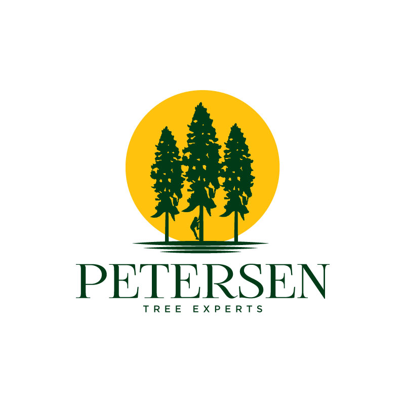 Logo Design by Ansh Design for this project | Design #28635547