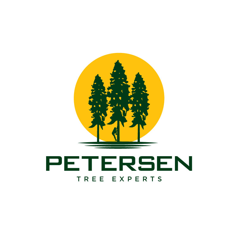 Logo Design by Ansh Design for this project | Design #28635548