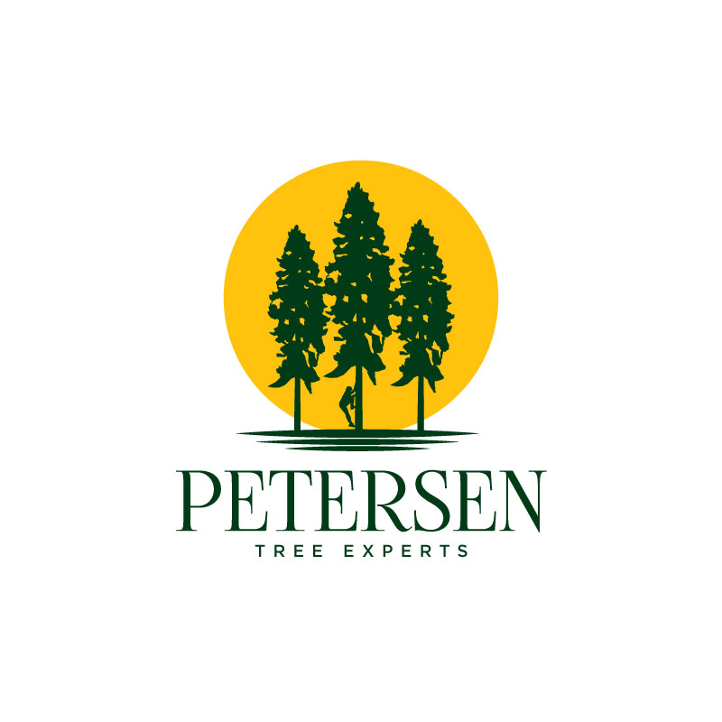 Logo Design by Ansh Design for this project | Design #28635549