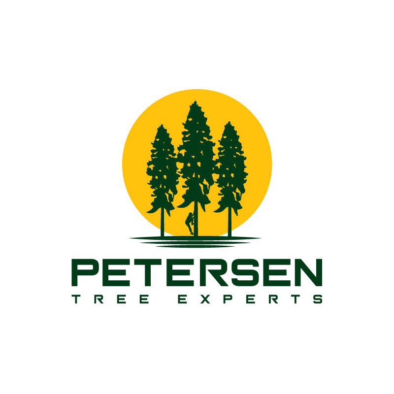 Logo Design by Ansh Design for this project | Design #28635550