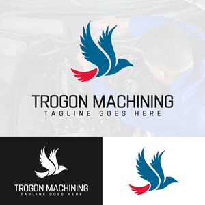 Logo Design by EvoGo Designers for this project | Design: #28669576