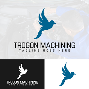 Logo Design by EvoGo Designers for this project | Design: #28669577