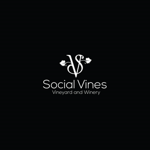 Logo Design by Revolt Team
