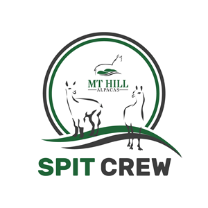 Graphic Design by uk for Mt Hill Alpacas | Design: #28647963