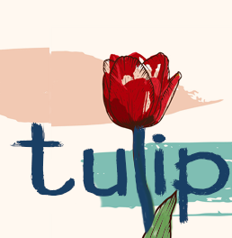 Logo Design by XPODesign
