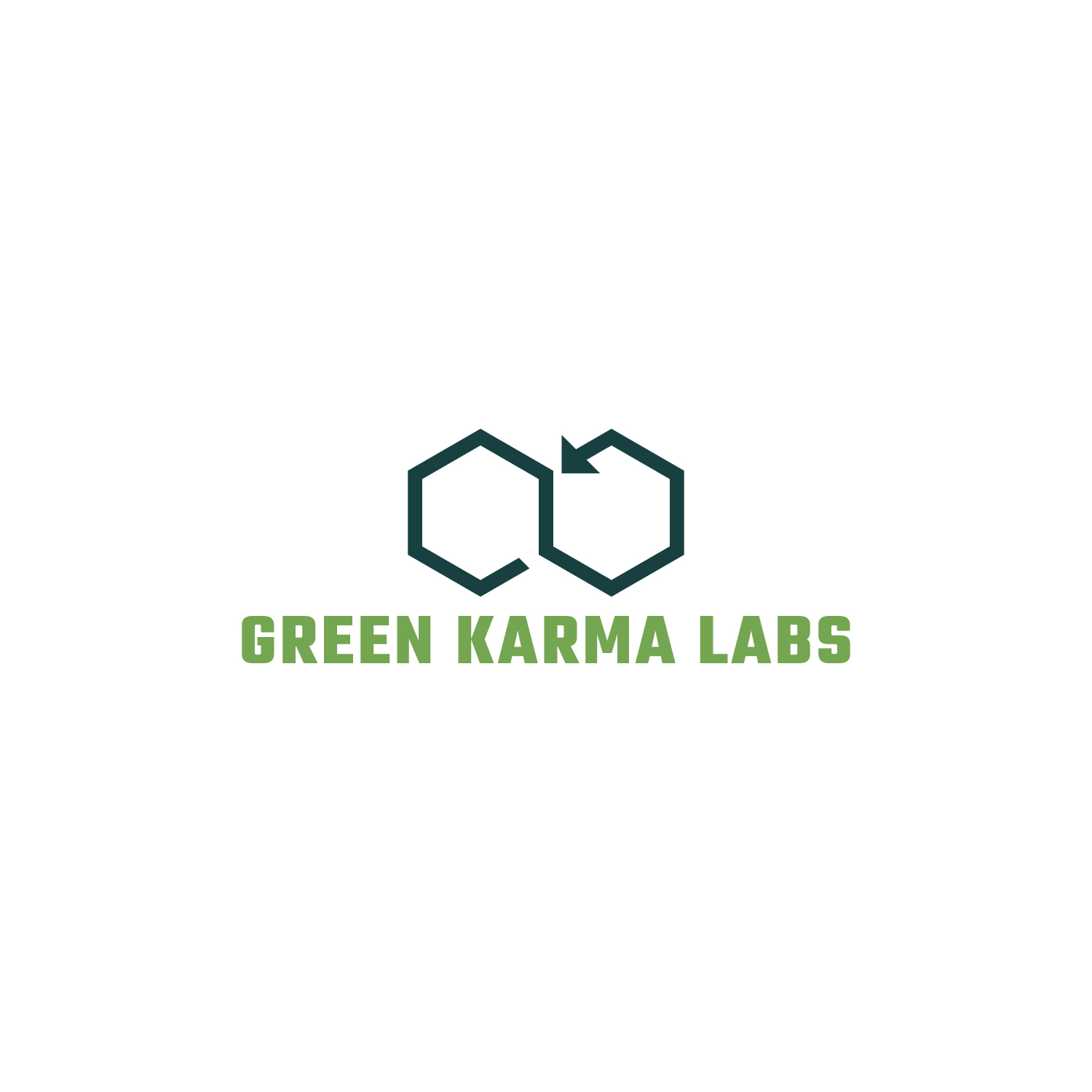 Logo Design by Arun 25 for this project | Design #28682162