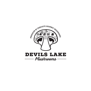 Logo Design by Raylene Johnston
