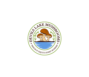 Logo Design by anico