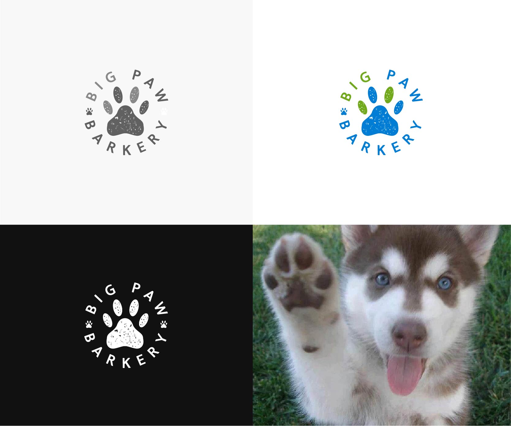 Logo-Design von bestdesignzzz für Big Paw Barkery | Design #28675390