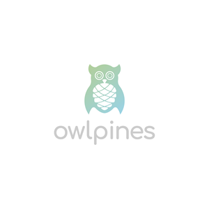 Logo Design by BHOOSHAN