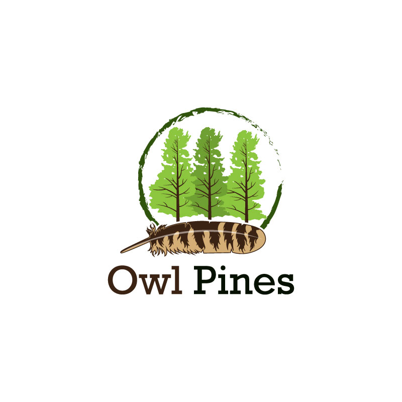 Logo Design by Ansh Design for this project | Design #28674193