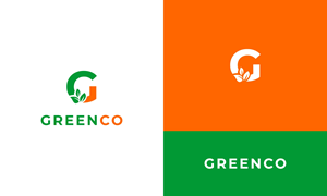 Logo Design by Naeem imran