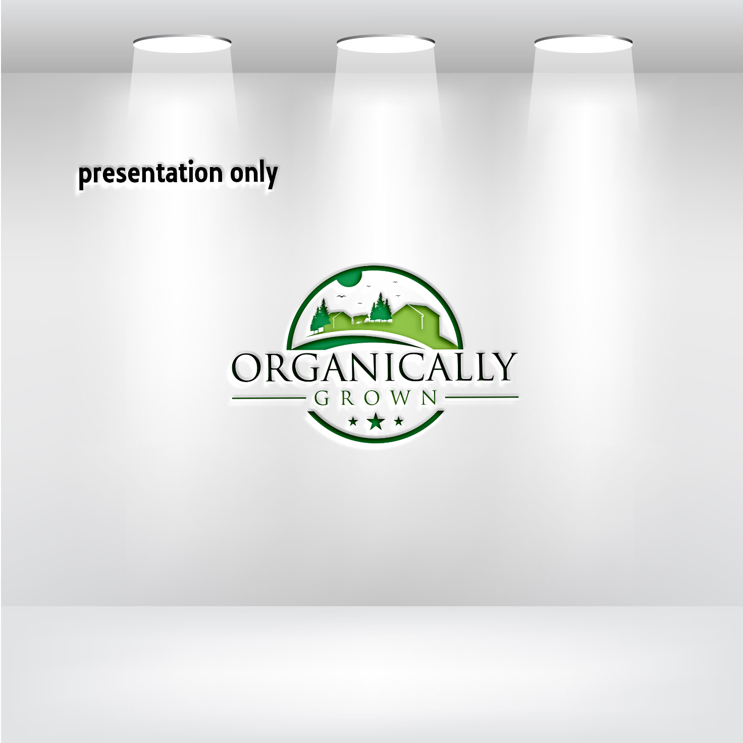 Logo Design by RS_Design for Day Three Botanicals, LLC | Design #28676559