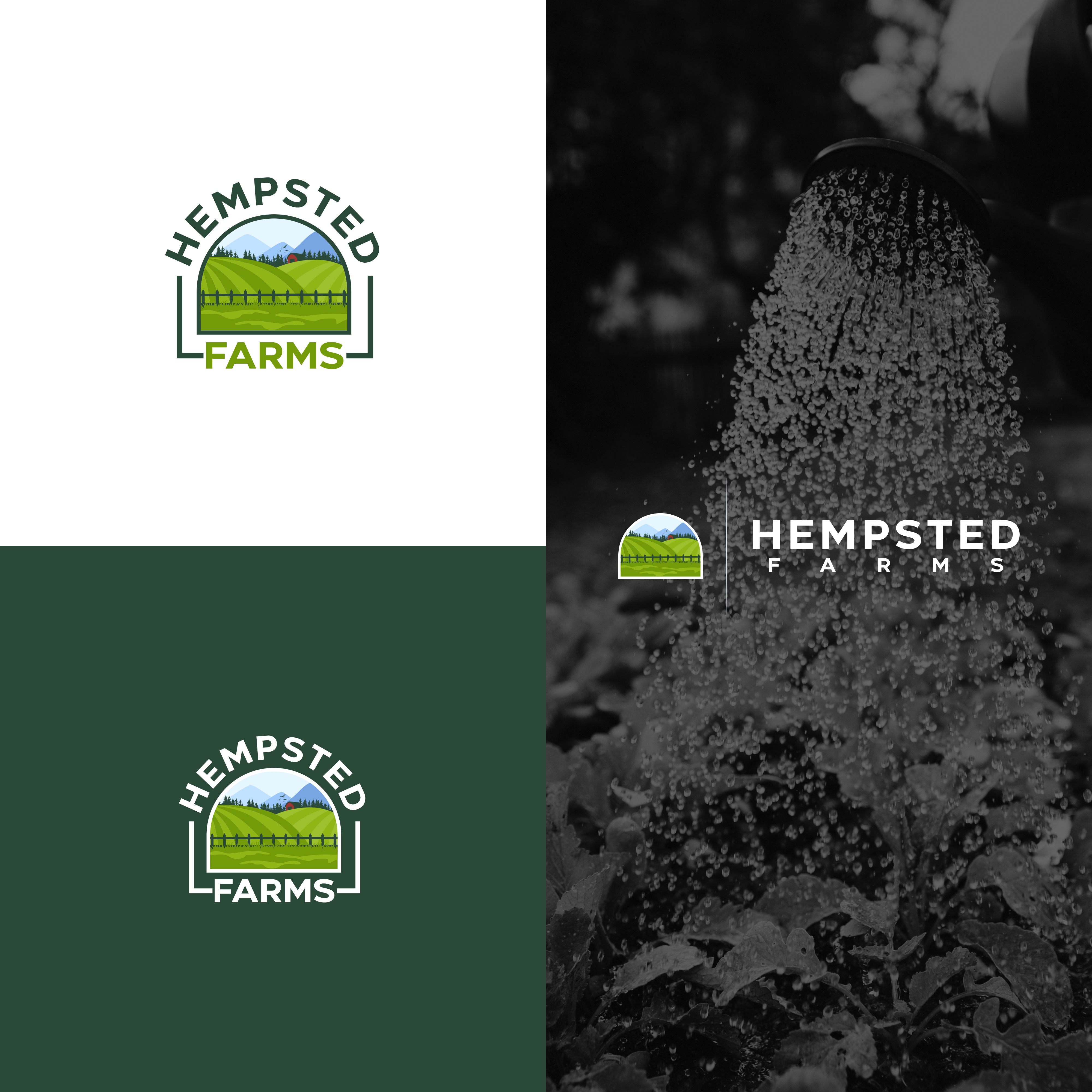 Logo Design by Adilia Romadina for Day Three Botanicals, LLC | Design #28676702