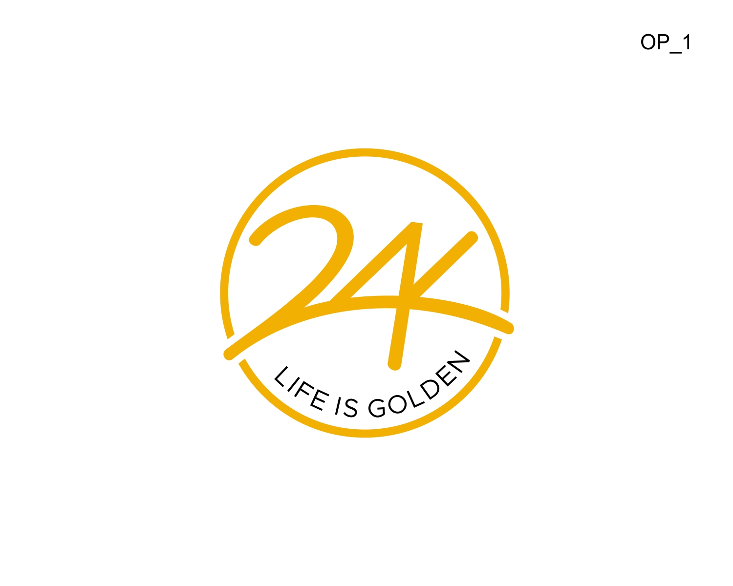 Logo Design by CIG Designer for this project | Design #28758895