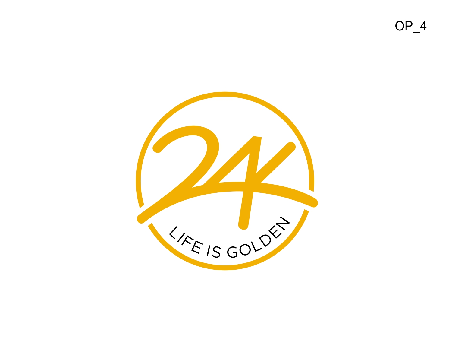 Logo Design by CIG Designer for this project | Design #28761646