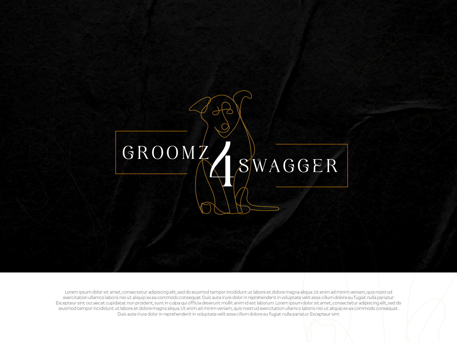 Logo Design by JTdsign for Ecoluxe Auto-Shine Maitland Pty Ltd | Design #28684657