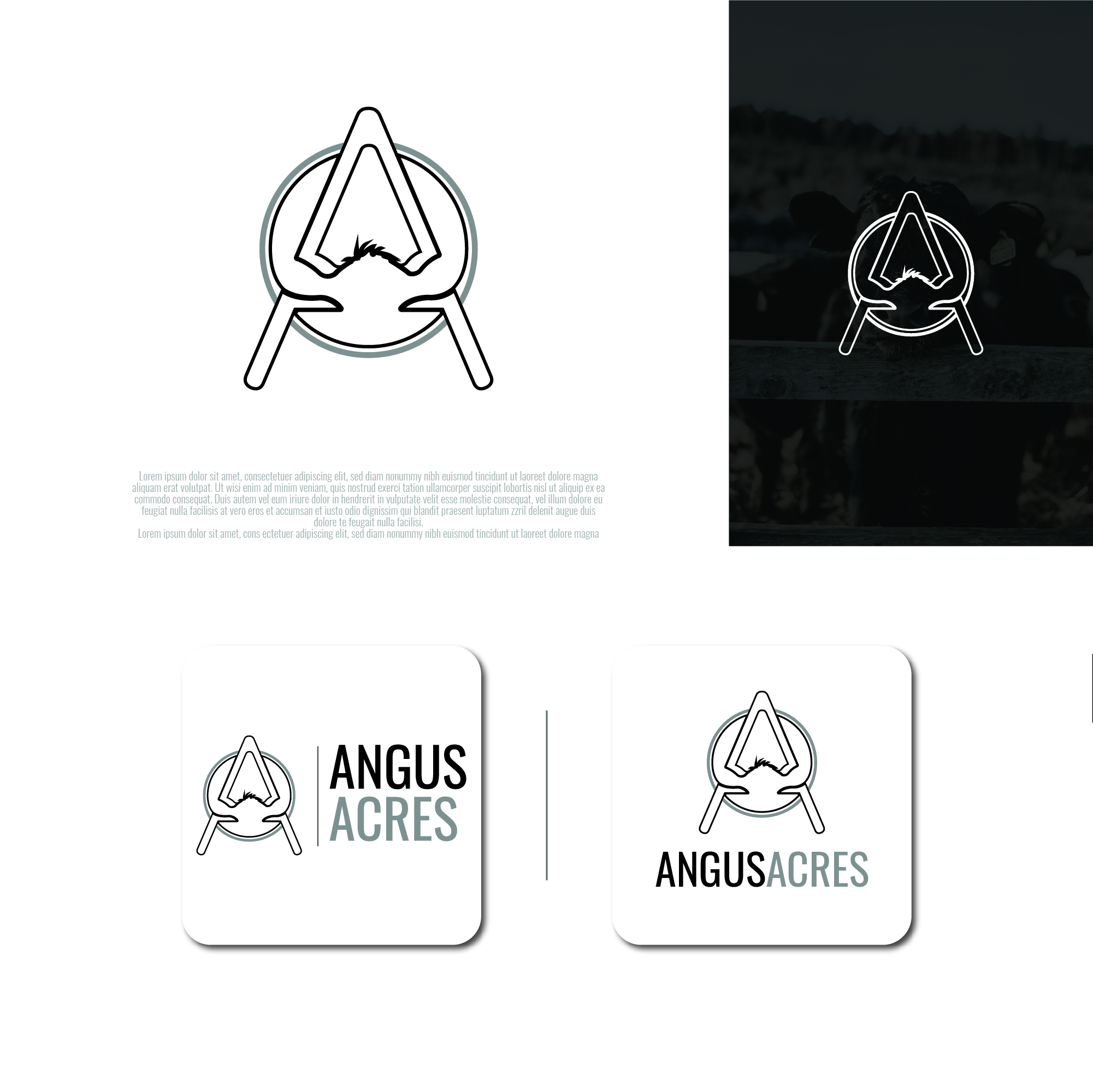 Graphic Design by HMZDGN for this project | Design #28710858