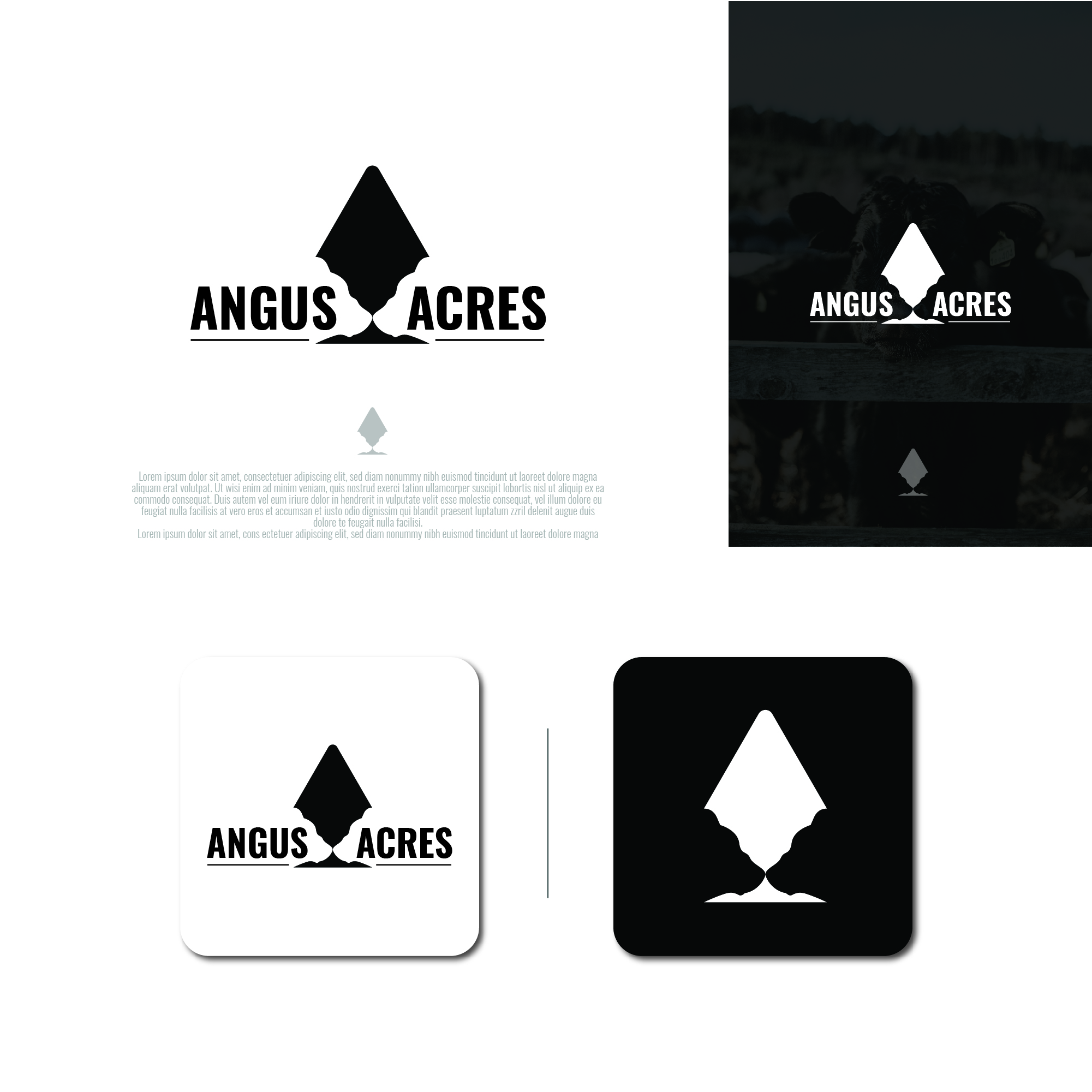 Graphic Design by HMZDGN for this project | Design #28711100