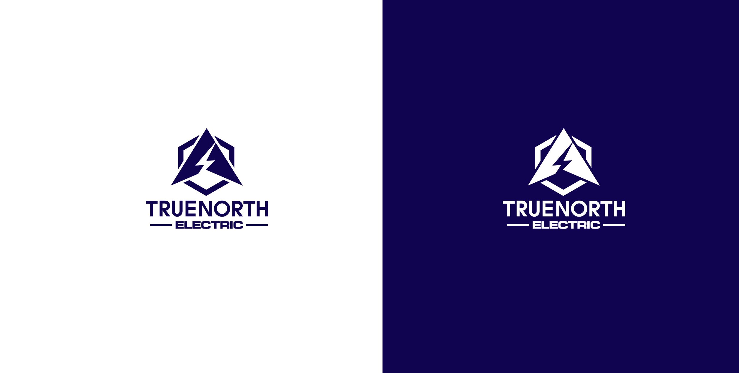 Logo Design by creativepoint for True North Electric | Design #28693690