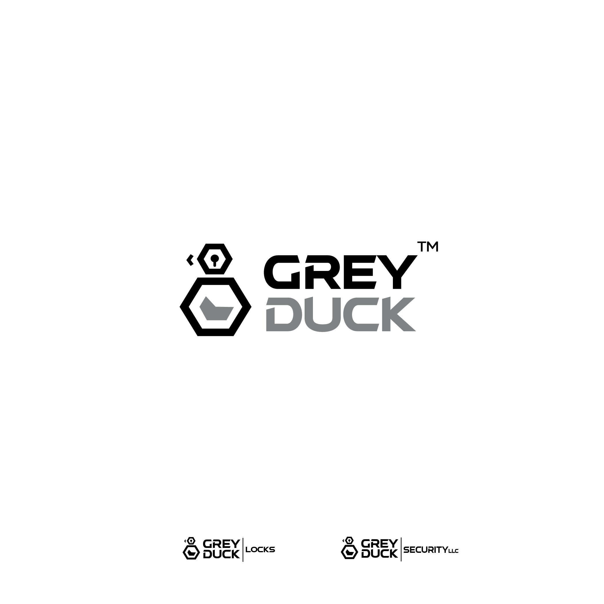 Logo Design by ILLUSTRATOR PRO for Gray Duck Security LLC | Design #28728777