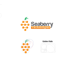 Logo Design by javed.iqbal for Seaberry Technologies  | Design: #28728264