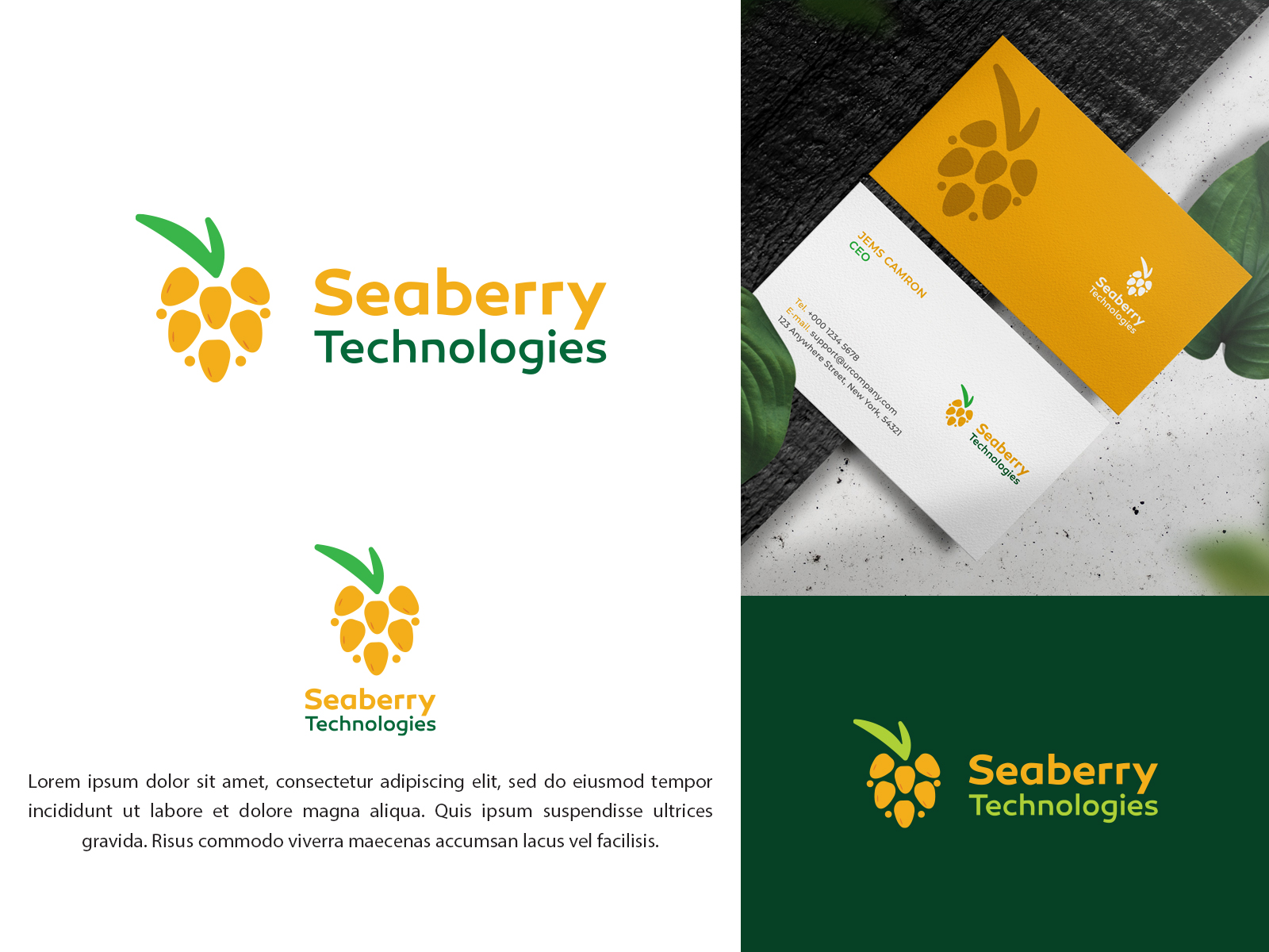 Logo Design by vramar.roy for Seaberry Technologies  | Design #28700682