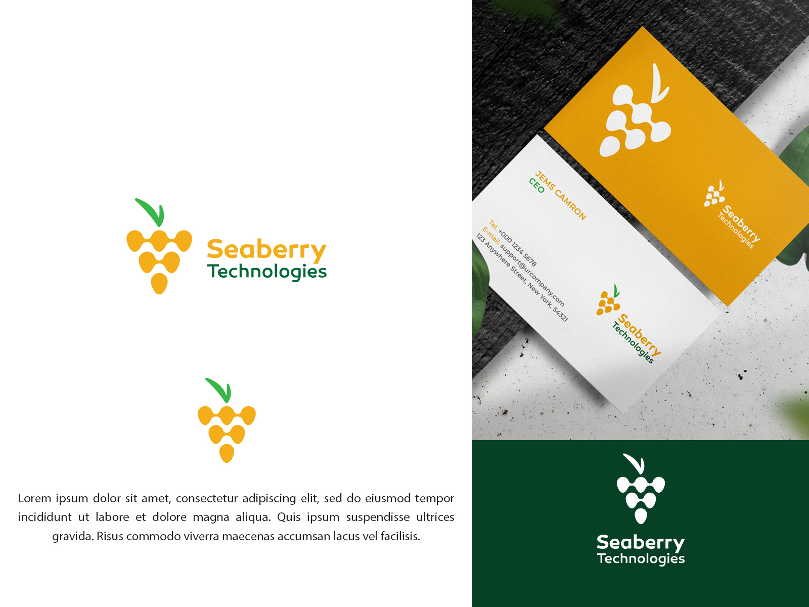 Logo Design by vramar.roy for Seaberry Technologies  | Design #28701481