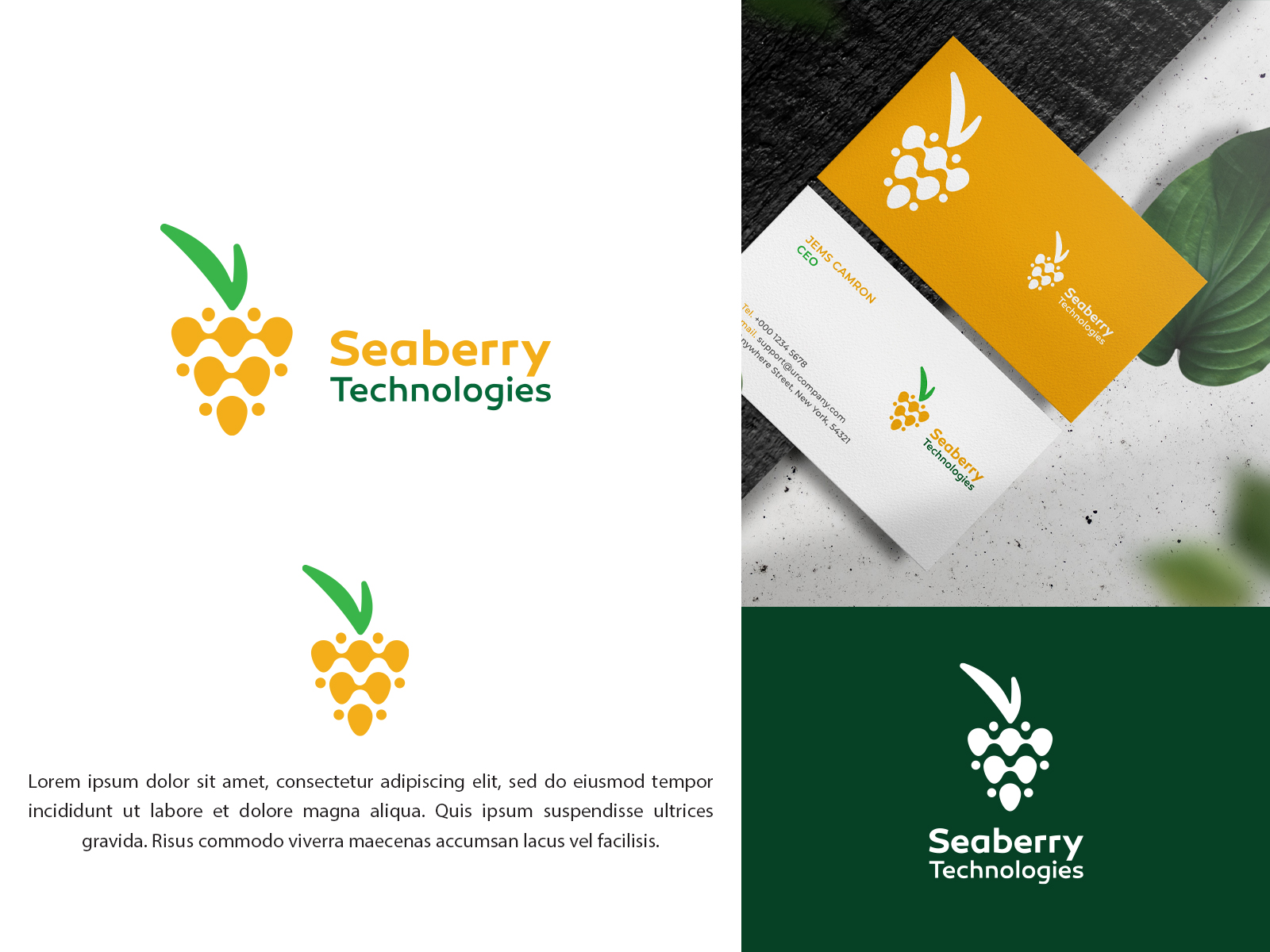 Logo Design by vramar.roy for Seaberry Technologies  | Design #28701516