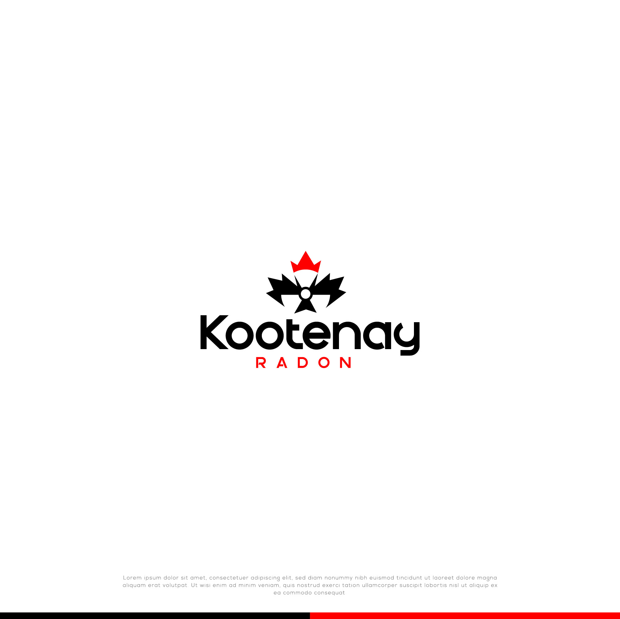 Diseño de Logo por webeezine para Kootenay Disaster Restorations Ltd | Diseño #28706907