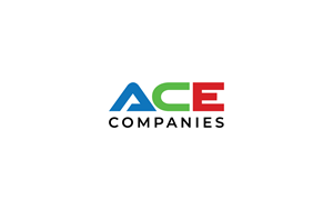 Logo Design by Radu Borzea