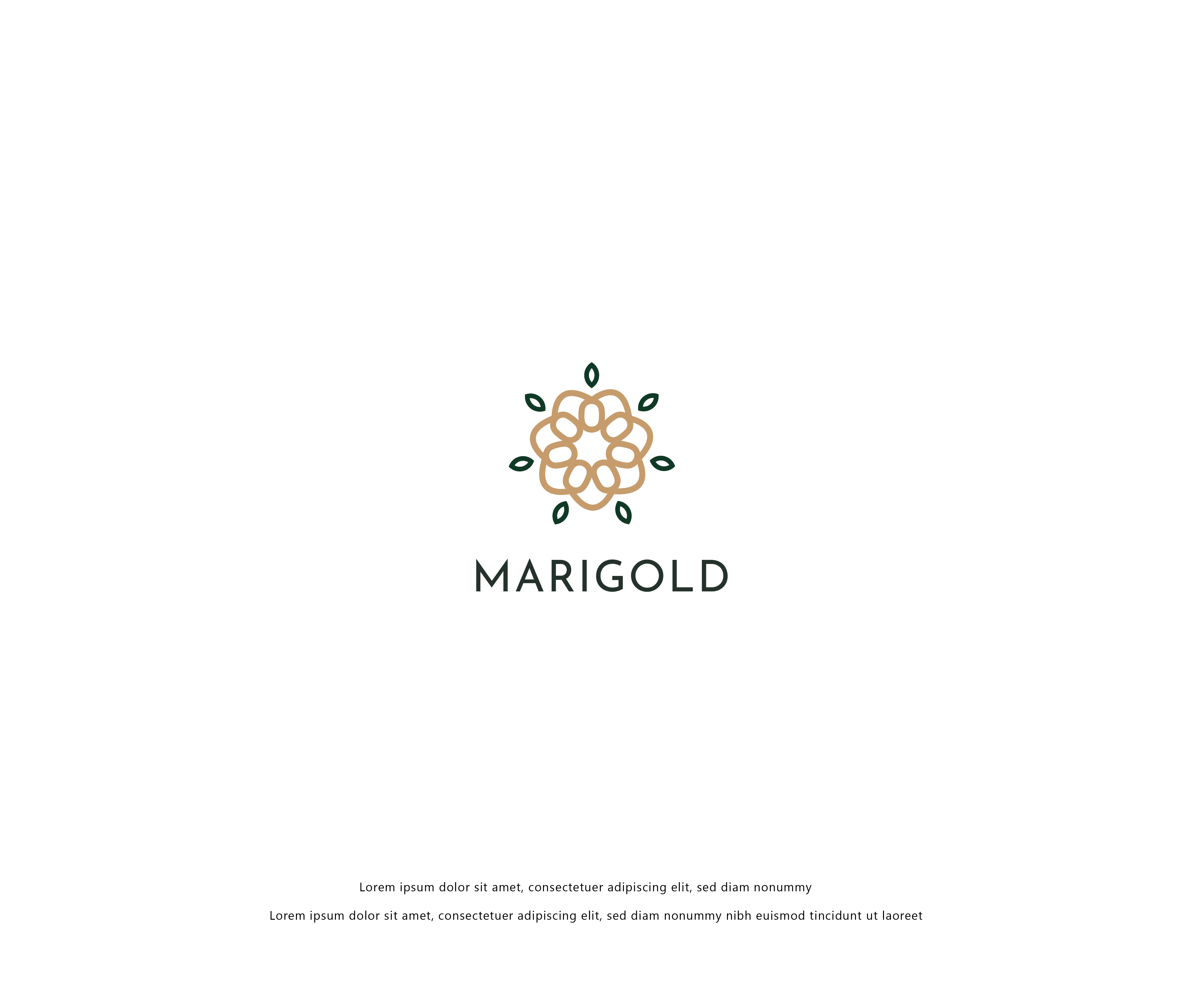 Logo Design by RummanEkram for this project | Design #28719794