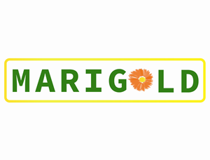 Logo Design by madeehakhan for this project | Design: #28714888