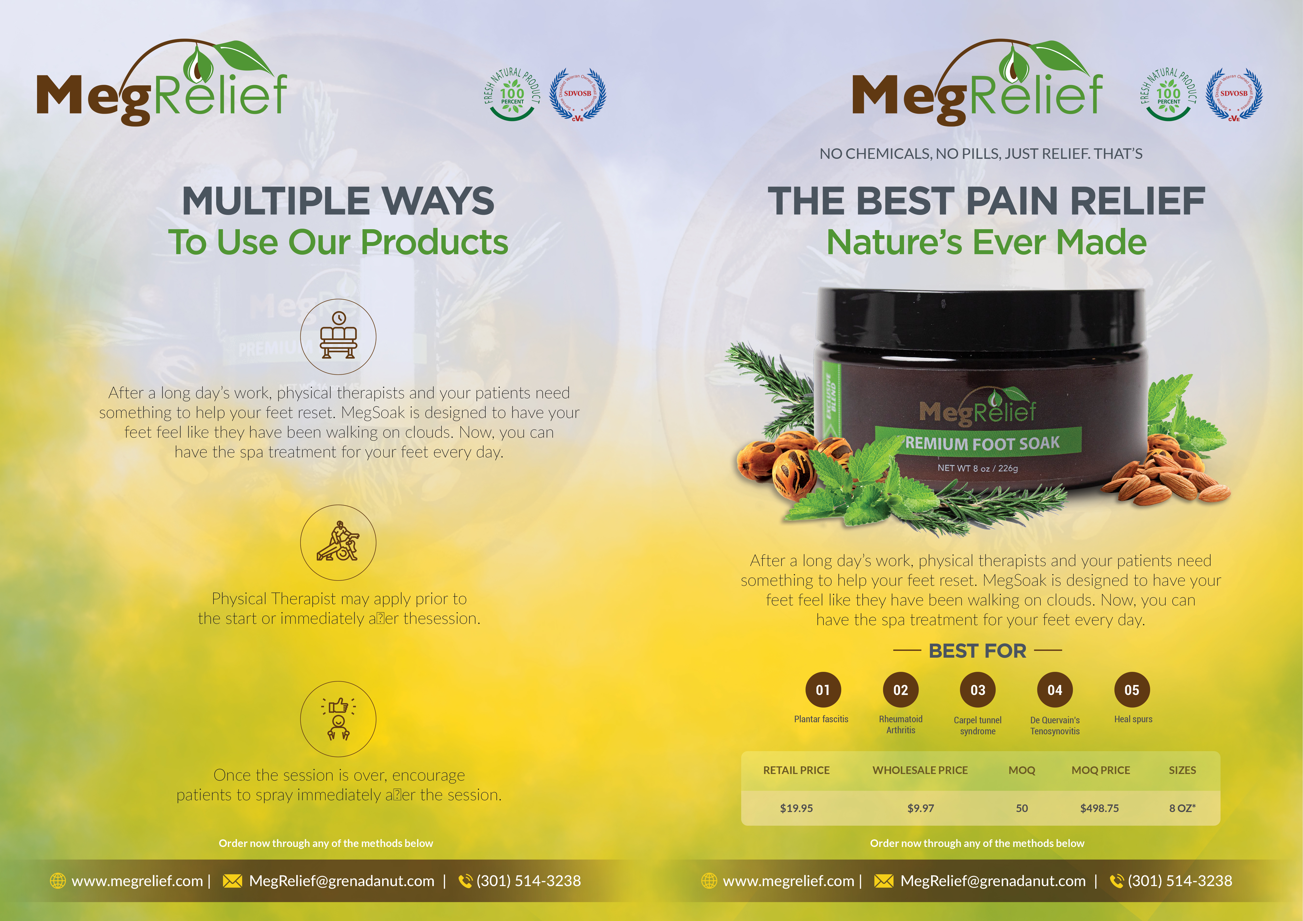 Flyer Design by AABee's Design Studio for this project | Design #28738508