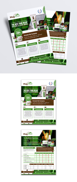 Flyer Design by debdesign for this project | Design: #28723313
