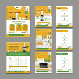 Create 4 sell sheets for our or health and wellness products | Diseño de Flyer por Nadirashakil
