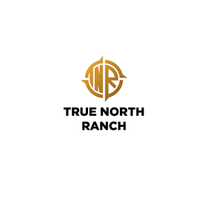 Logo Design by the3kings for this project | Design: #28715553