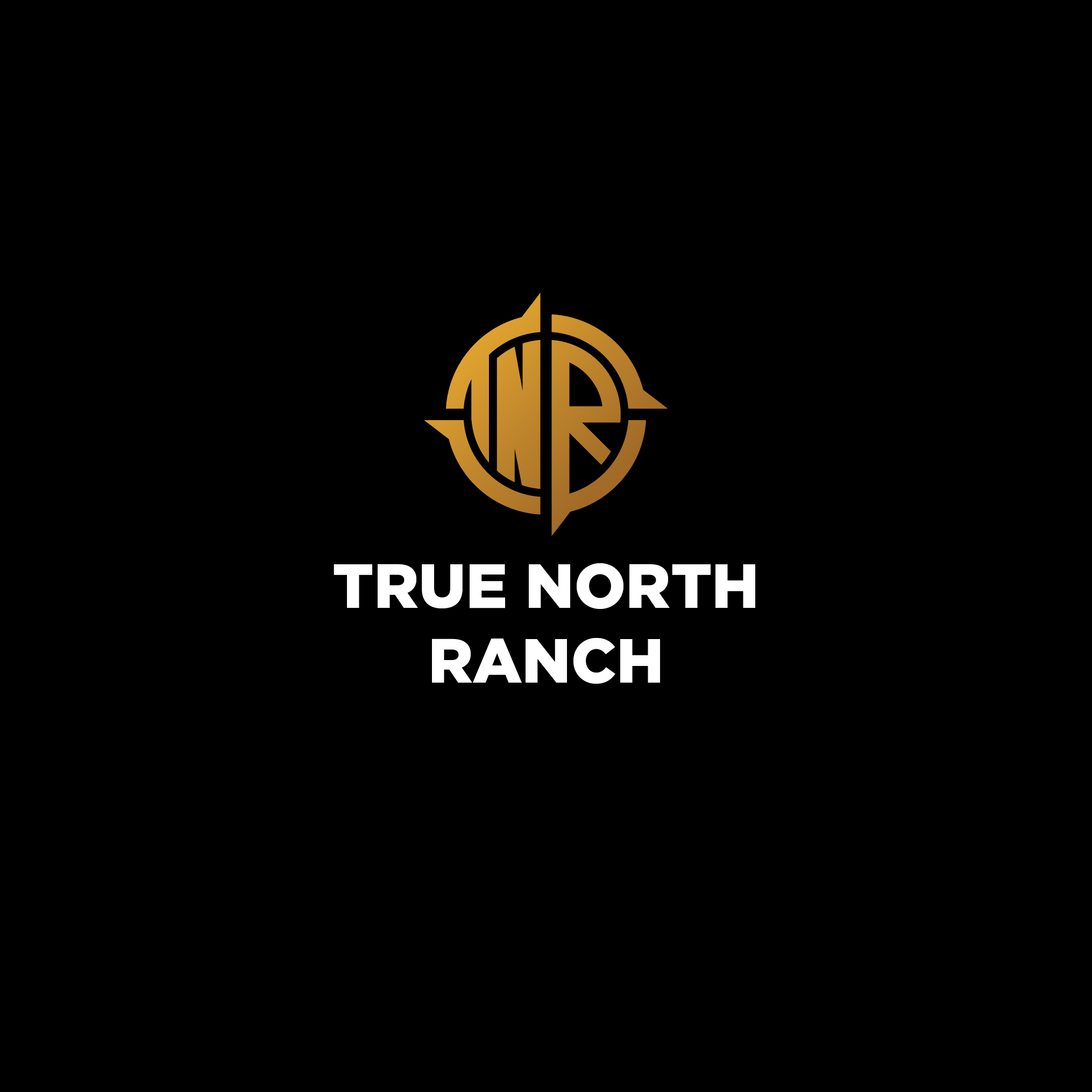 Logo Design by the3kings for this project | Design #28715555