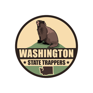 Logo Design by logoQ for this project | Design: #28727567