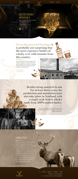 Landing Page Design by nh5