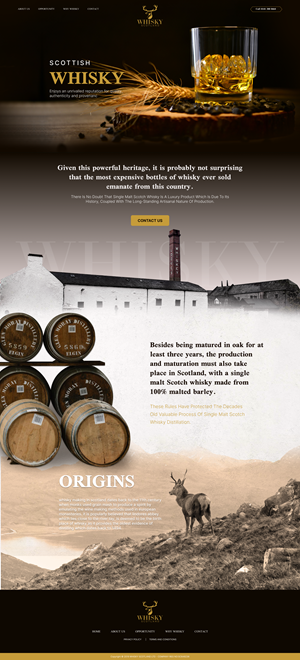 Landing Page Design by lemosys infotech