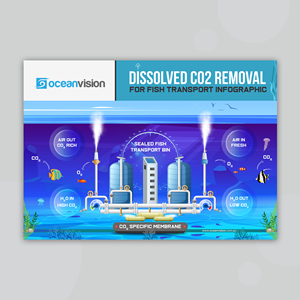Diseño Infográfico por debdesign para este proyecto | Diseño: #28726480
