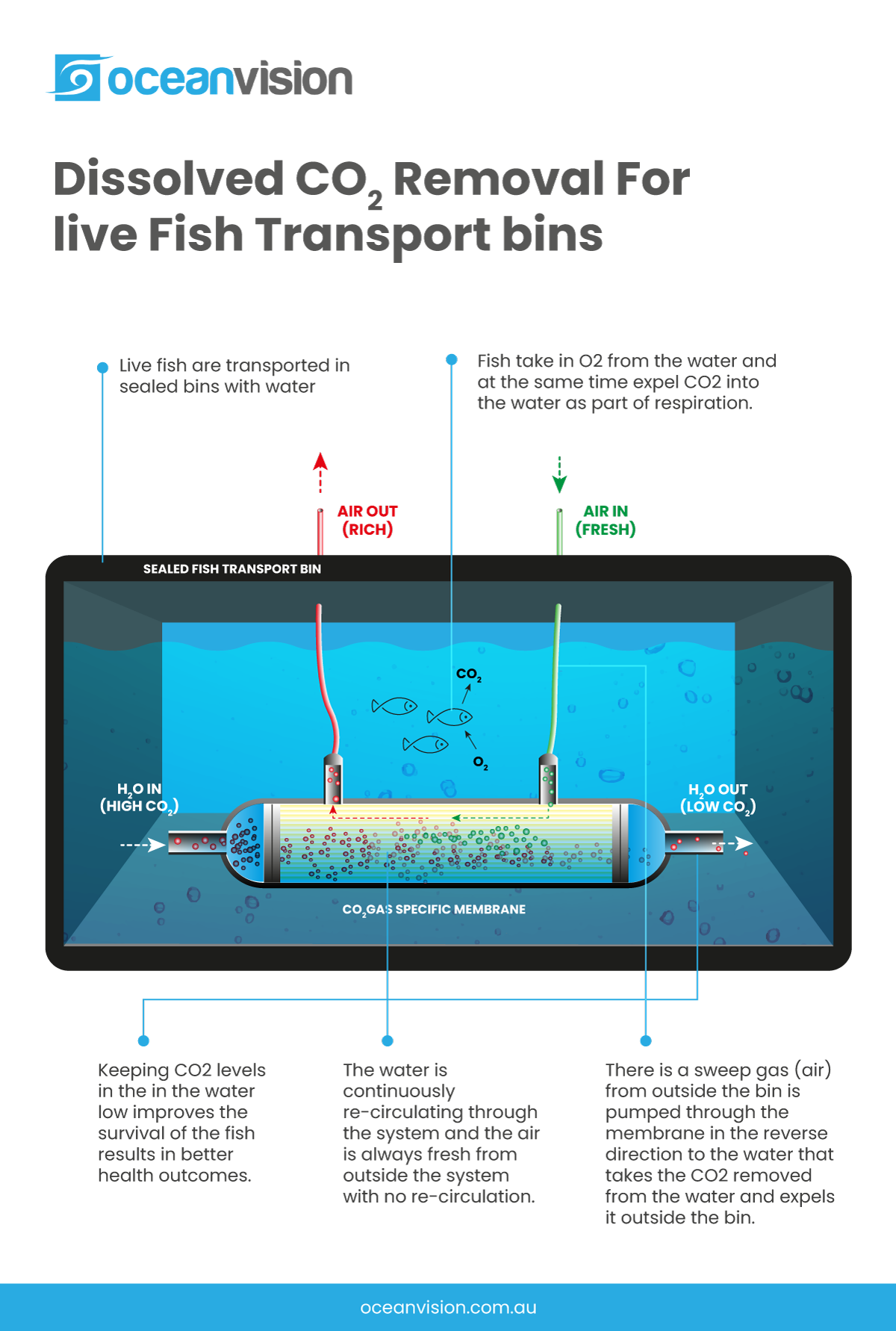 Infographic Design by Anwar for this project | Design #28748612