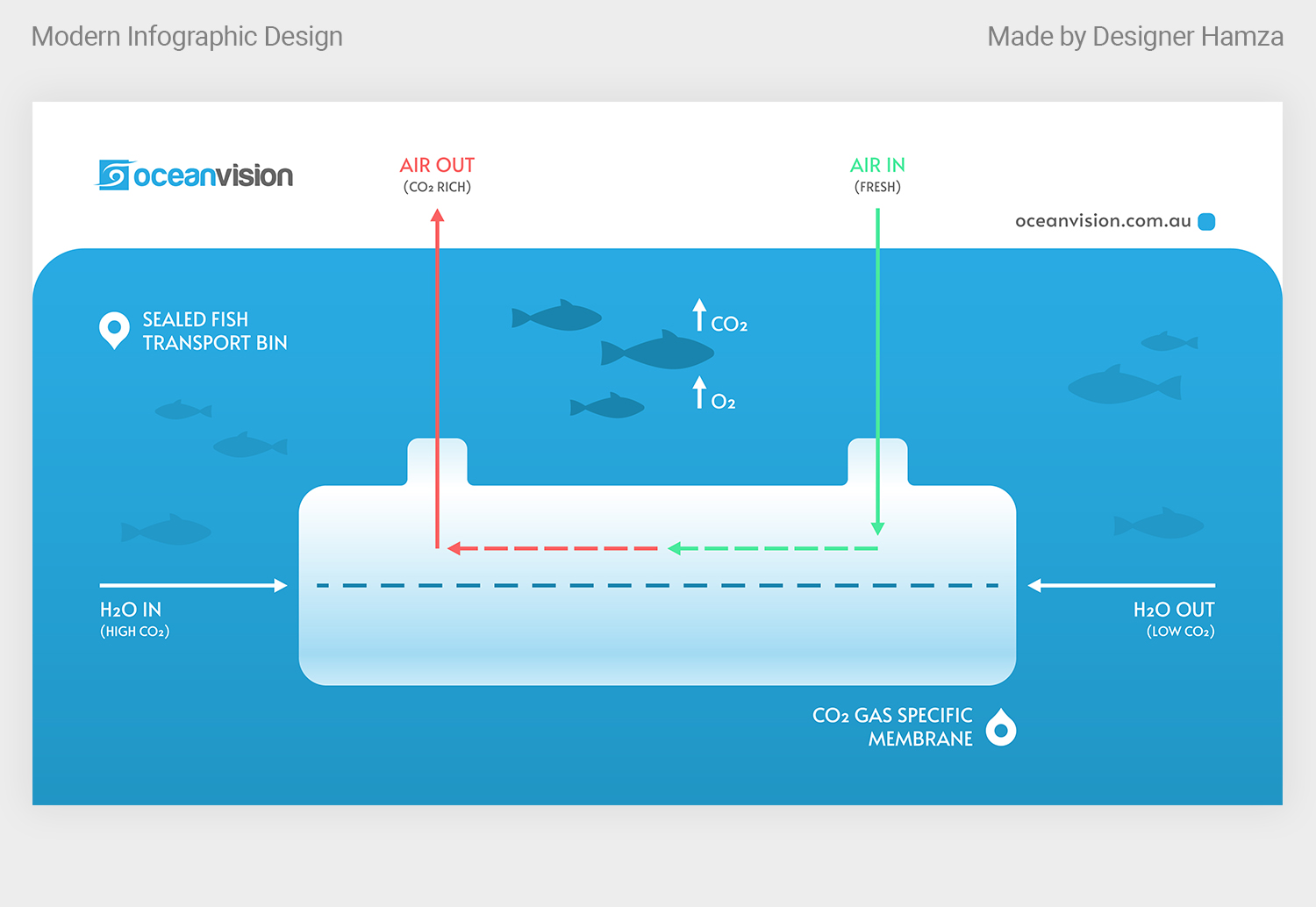 Diseño Infográfico por Designer Hamza para este proyecto | Diseño #28720952