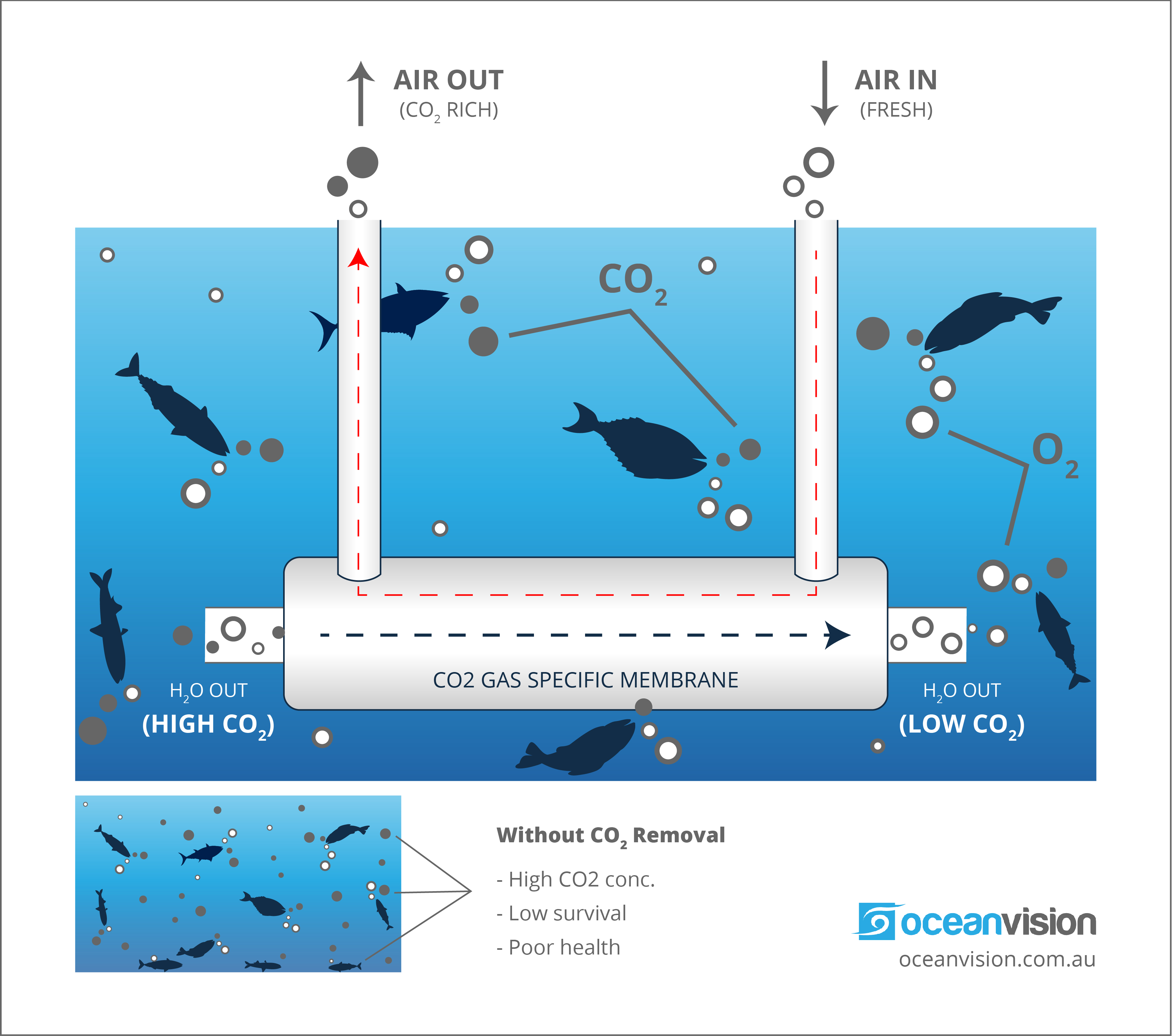 Infographic Design by Abdulmumin Imam for this project | Design #28737979