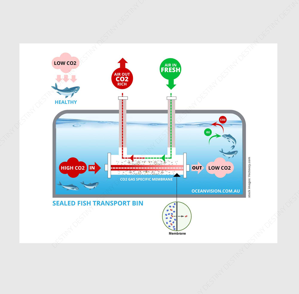 Infographic Design by DA. for this project | Design #28845345